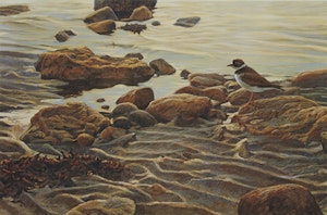 Artwork by Robert Bateman, Flight of the Plover