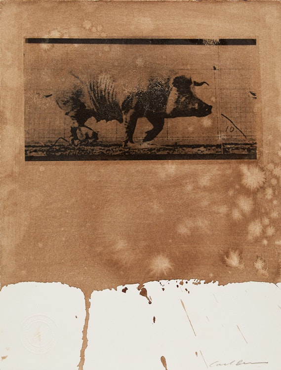 Artwork by Carl Beam, Untitled (Pig)
