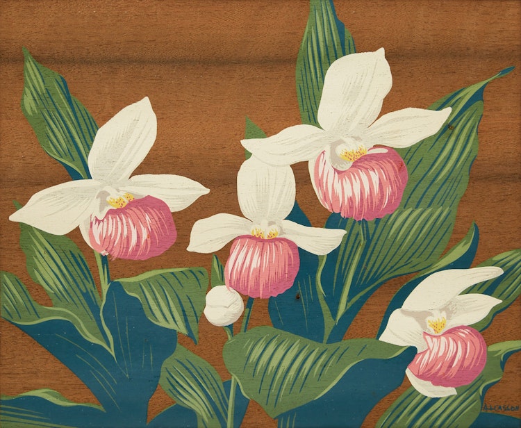 Artwork by Alfred Joseph Casson, Mocassin Flower