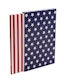 Thumbnail of Artwork by Attila Richard Lukacs, American Flag edition