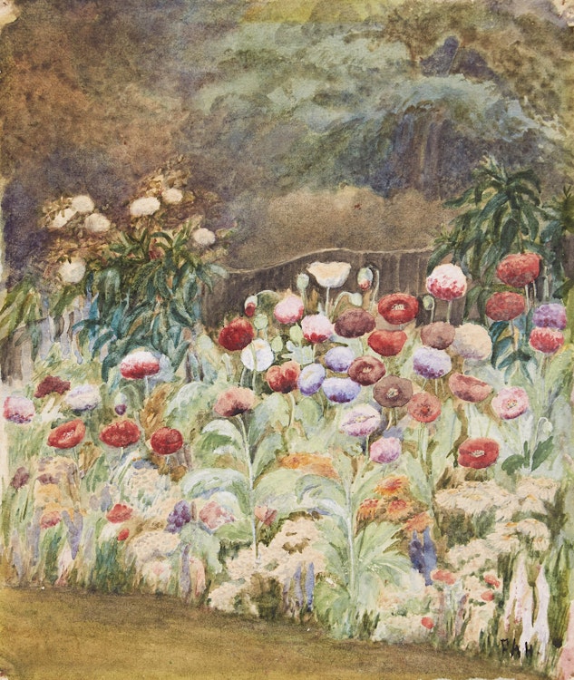 Artwork by Frances Anne Hopkins, Wild Poppies