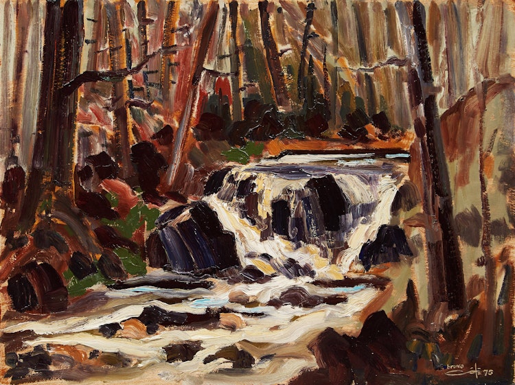 Artwork by Bruno Côté,  Rushing Stream in Forest