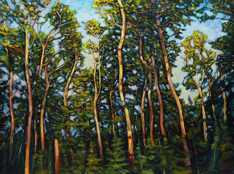 Artwork by Paul Mantrop,  Birches Sway