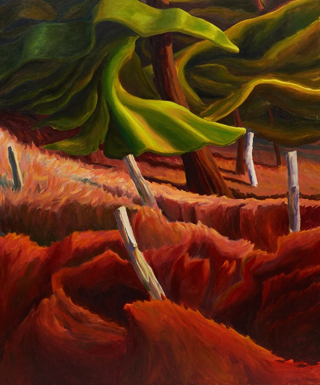 Artwork by Drew Burnham, Fence Line Pines