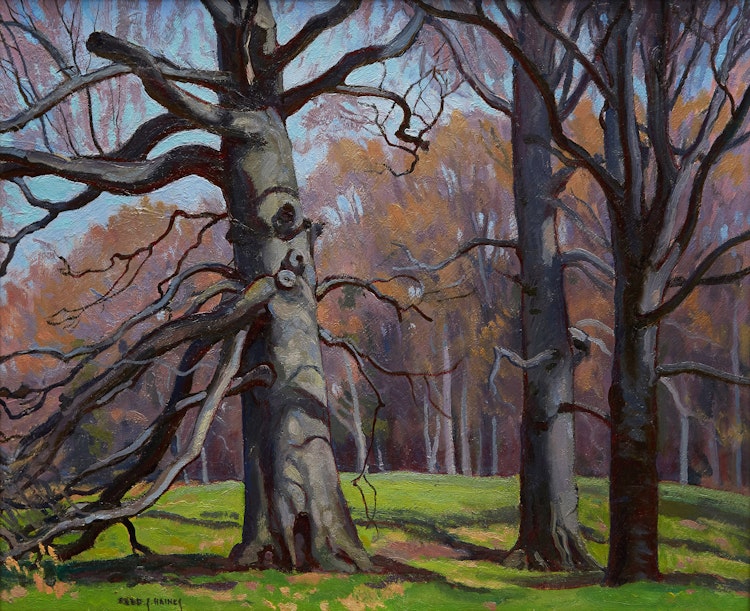Artwork by Frederick Stanley Haines, Beeches, Spring