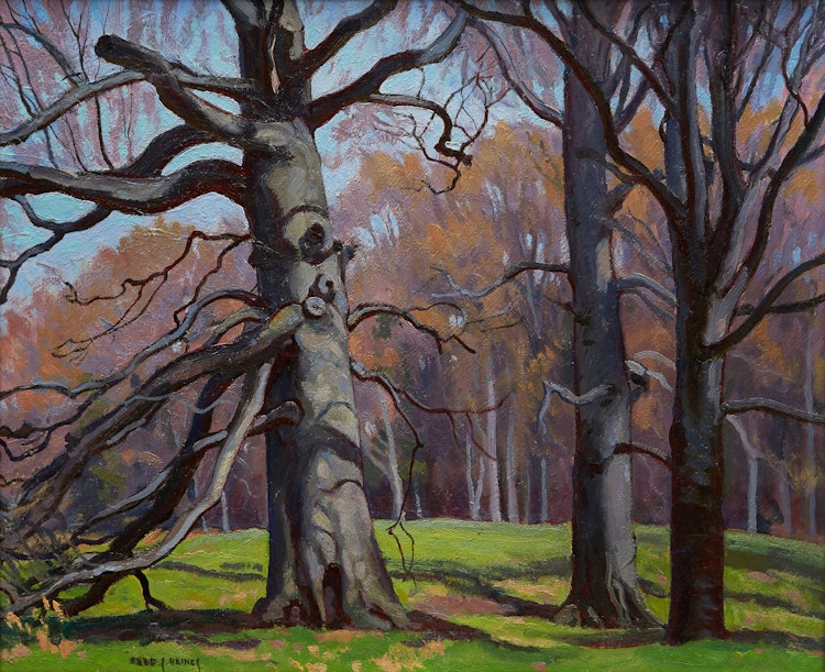 Artwork by Frederick Stanley Haines,  Beeches, Spring