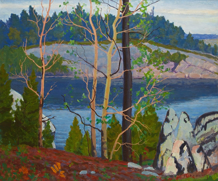 Artwork by Frederick Stanley Haines, Birches Overlooking a Lake