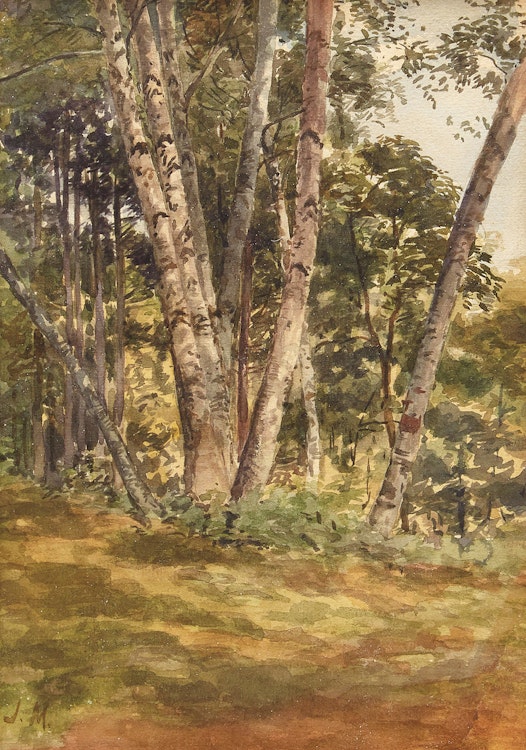 Artwork by James Edward Hervey MacDonald,  Birch Woods