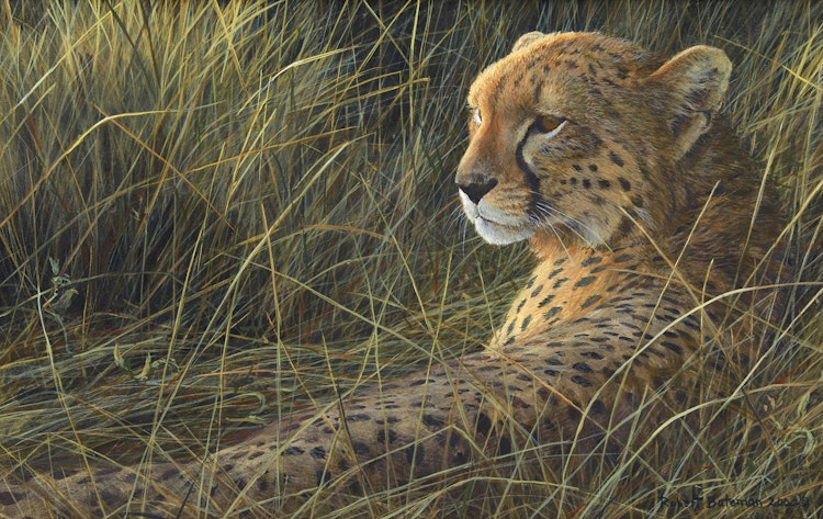 Artwork by Robert Bateman,  Cheetah on the Mara