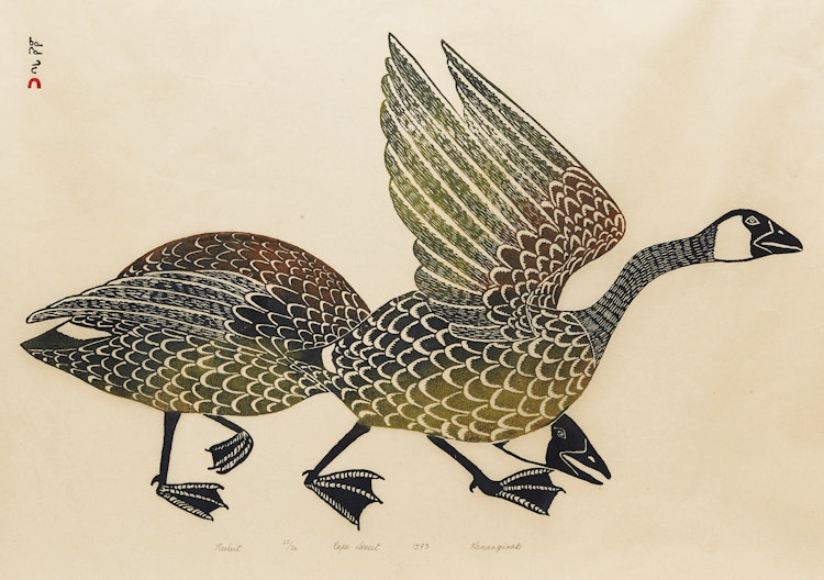 Artwork by Kananginak Pootoogook, Neeleit