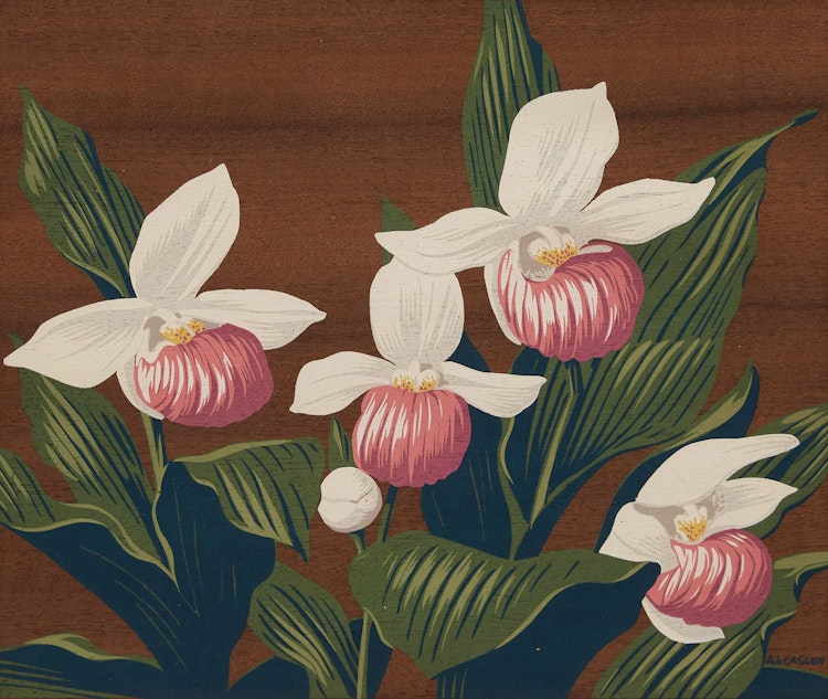 Artwork by Alfred Joseph Casson, Lady Slipper Orchids; Marsh Marigolds