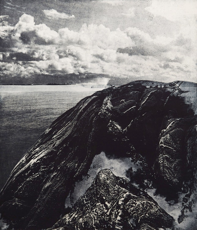 Artwork by Edward John Bartram, Island Southern Rock