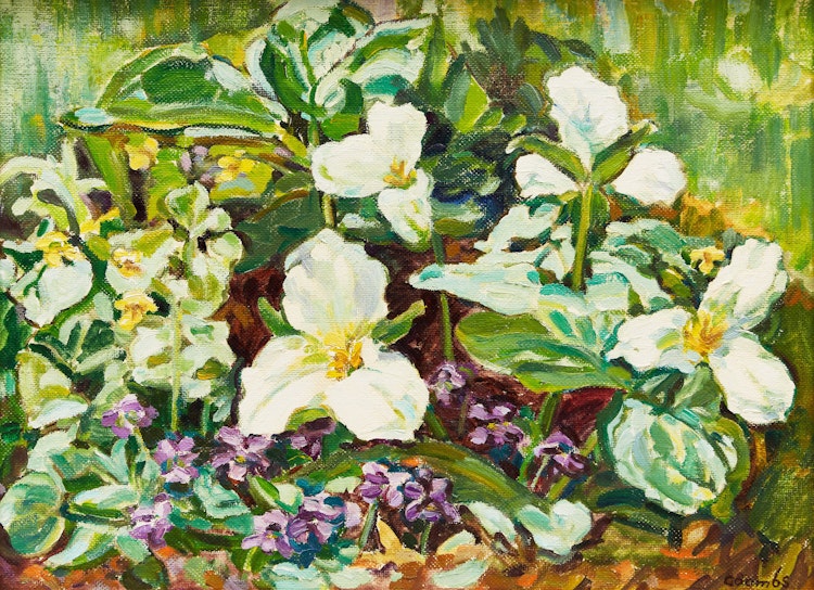 Artwork by Edith Grace Coombs, A Spring Galaxy