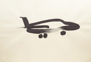 Artwork by Wanda Koop, Airplane