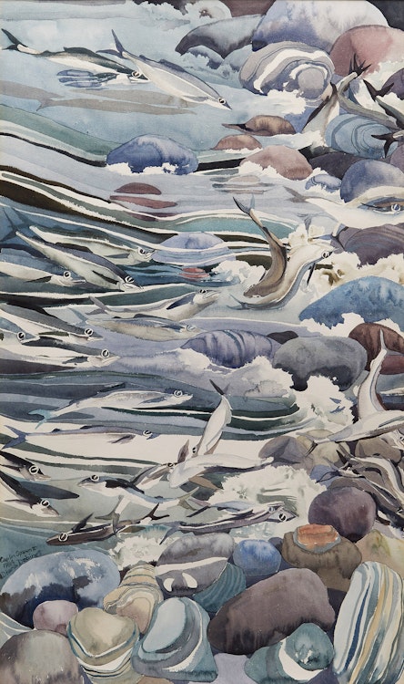 Artwork by Diana Dabinett, Caplin Spawn II
