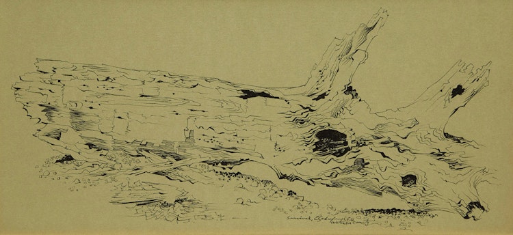 Artwork by Carl Fellman Schaefer, Survival