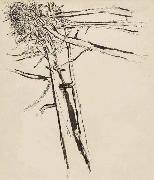 Artwork by Anthony Morse Urquhart, Tree