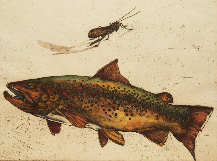 Artwork by Jack Cowin,  Killers of the Bow River (Western Canada Trout Series)