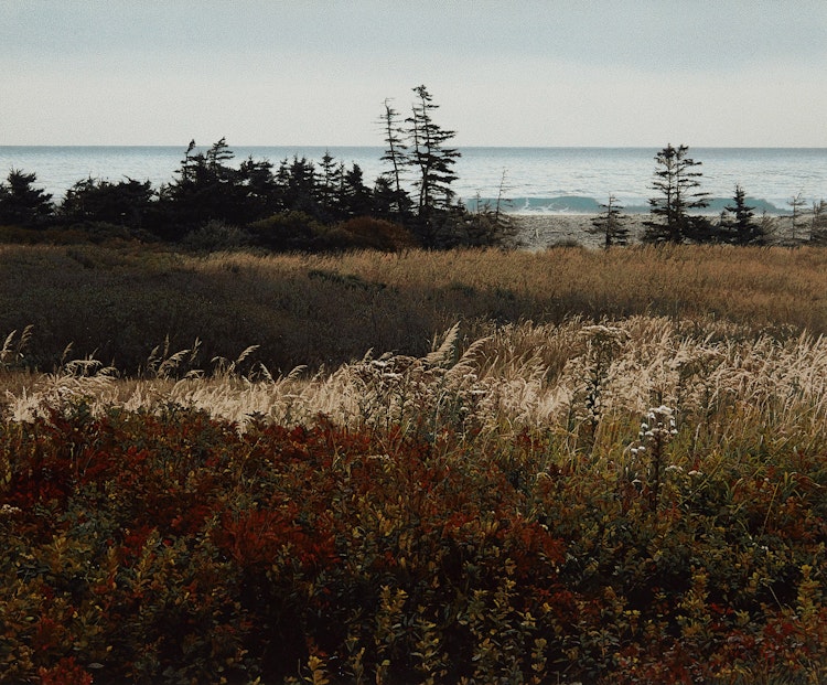 Artwork by Richard Thomas Davis,  Hartling Bay