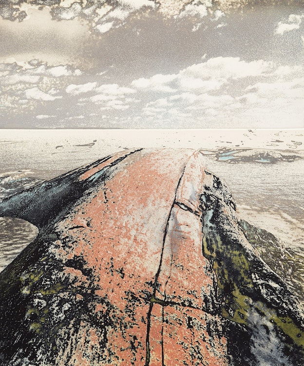 Artwork by Edward John Bartram, Whaleback #3