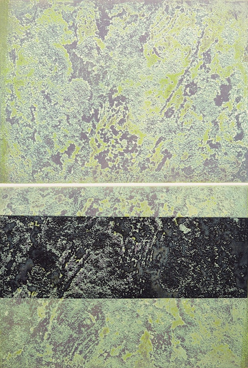 Artwork by Edward John Bartram, Lichen Canadian Shield