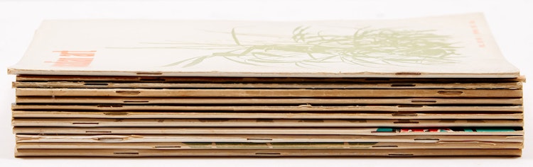 Artwork by Books and Reference, Twelve Canadian Art Magazine Issues