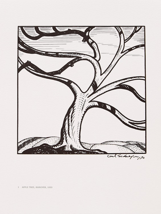Artwork by Carl Fellman Schaefer, 18 Hanover Drawings, 1924-1930