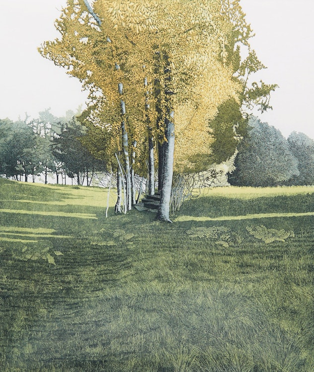 Artwork by Phil Greenwood,  Saplings