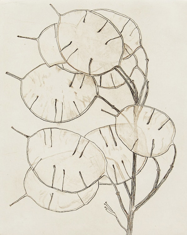 Artwork by Bruno Joseph Bobak, Honesty