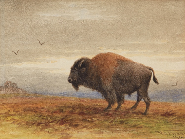 Artwork by Frederick Arthur Verner,  Buffalo