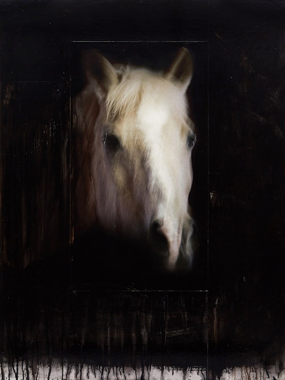 Artwork by Andre Petterson, Toss