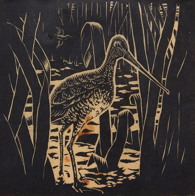 Artwork by Felix James Shea , Bird Approaching