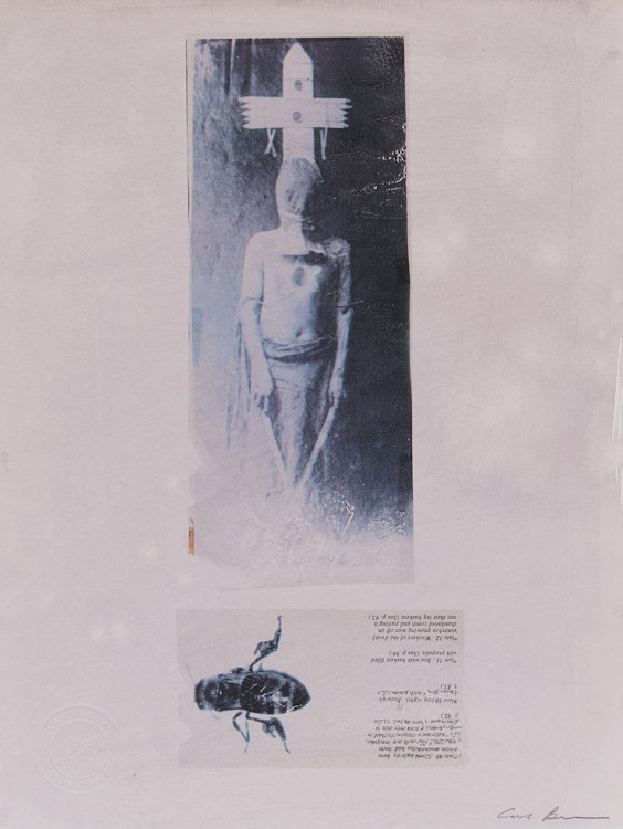 Artwork by Carl Beam, Bee