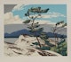 Thumbnail of Artwork by Alfred Joseph Casson, Northern Church; White Pine; Snow Laden House; White Forest