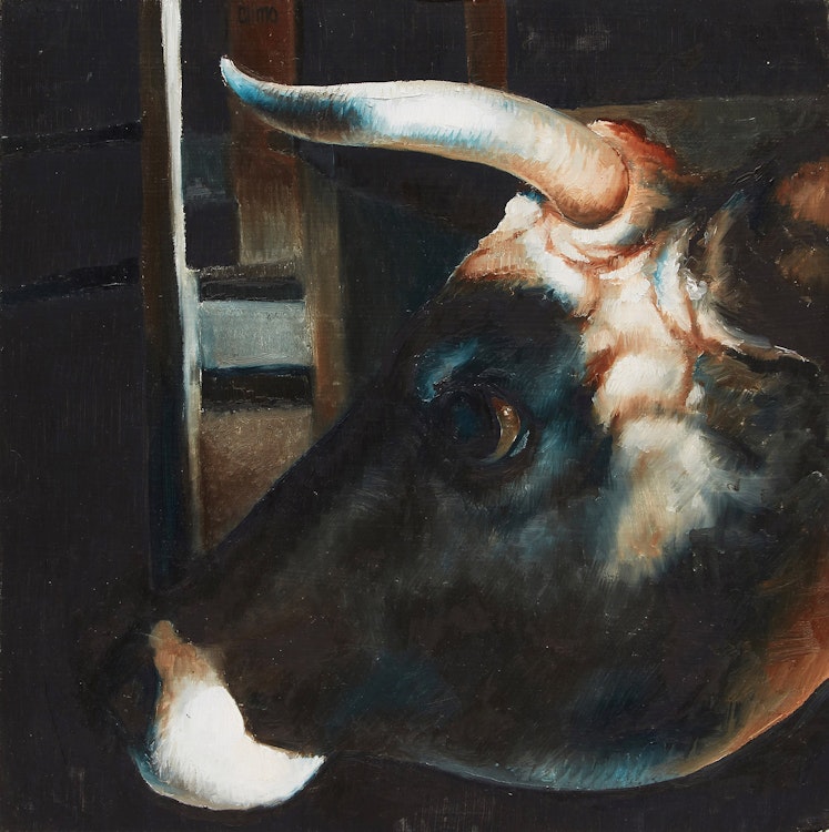 Artwork by Lindee Climo , Portrait of a Steer
