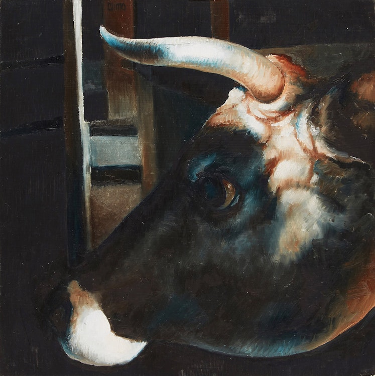 Artwork by Lindee Climo ,  Portrait of a Steer