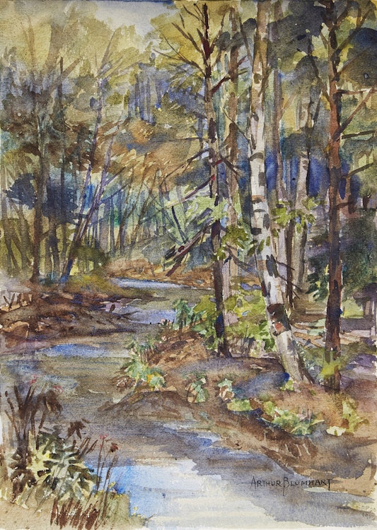 Artwork by Arthur Blumhart , High Park; Cherrys Mill, Preston