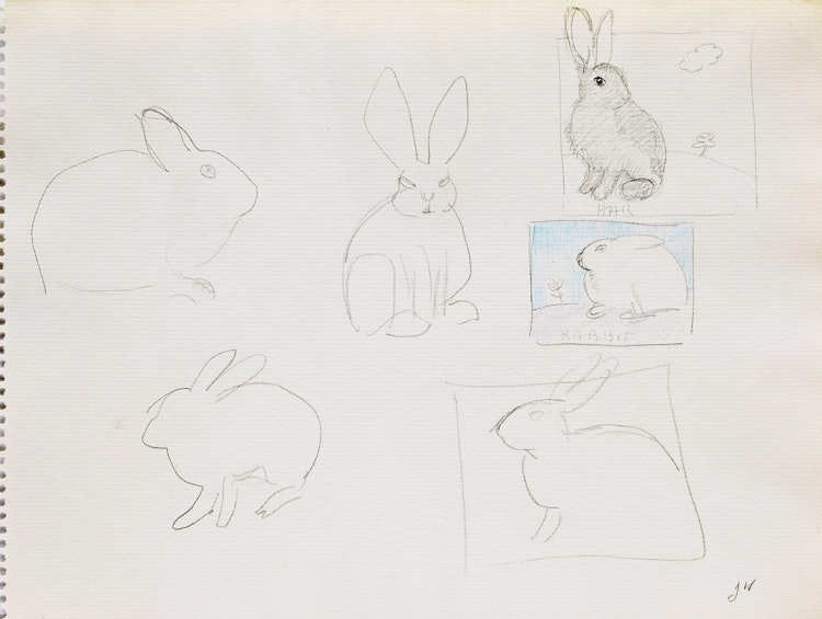 Artwork by Joyce Wieland, Bunnies