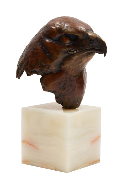 Artwork by Robert Bateman, Red-Tailed Hawk Head Study (Buteo Jamaicensis)
