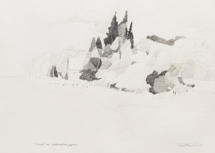 Artwork by Donald Mackay Houstoun, Tree Patterns