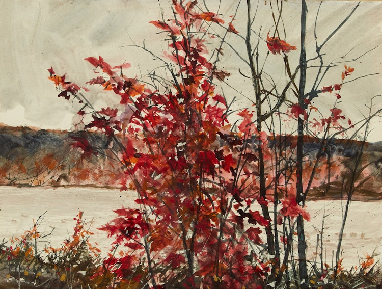 Artwork by Thomas de Vany Forrestall,  Bright Red, Red Maple on the St. John River