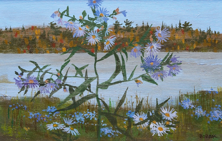 Artwork by Bruno Joseph Bobak,  Fall Asters 