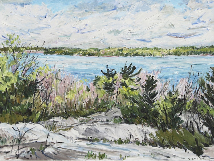 Artwork by Bruce Steinhoff, Spring, Parry Island, Georgian Bay