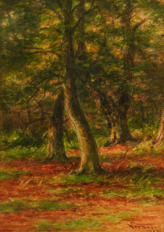 Artwork by Frederick Arthur Verner,  Burnham Beeches; Burnham Beeches