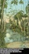 Thumbnail of Artwork by James Wilson Morrice, Study for “The Pond, West Indies” (circa 1916-1919)