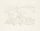 Thumbnail of Artwork by Barker Fairley, 12 Georgian Bay Sketches