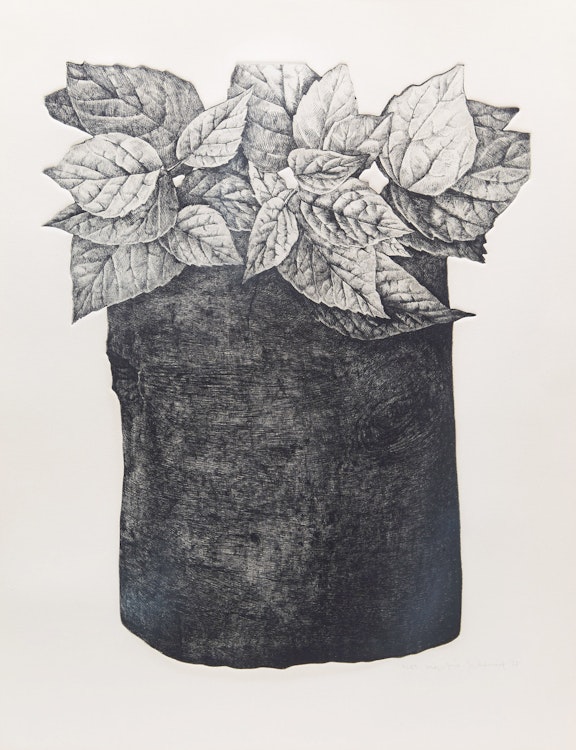Artwork by Jo Manning, Foliage Study