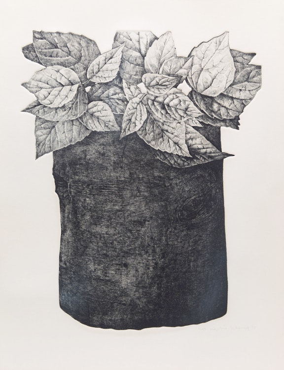 Artwork by Jo Manning,  Foliage Study