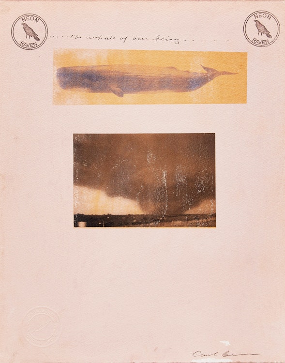 Artwork by Carl Beam, The Whale of Our Being