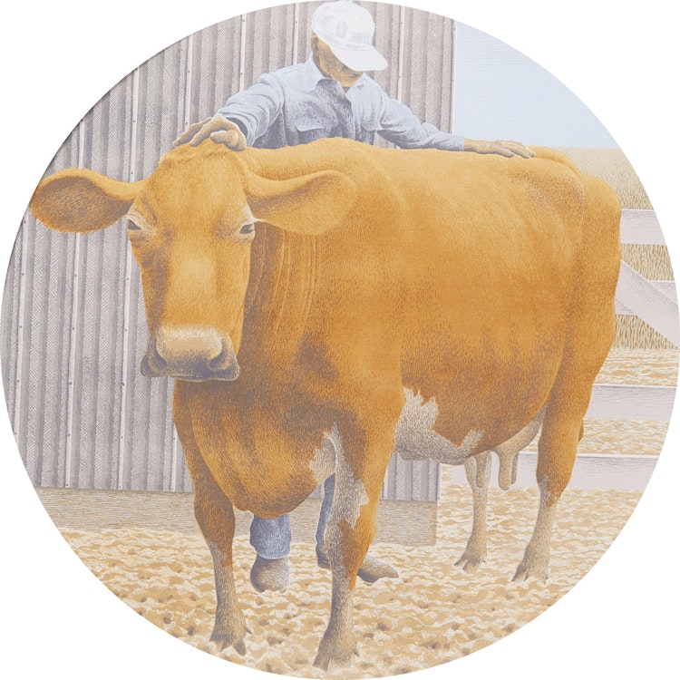 Artwork by David Alexander Colville, Prize Cow